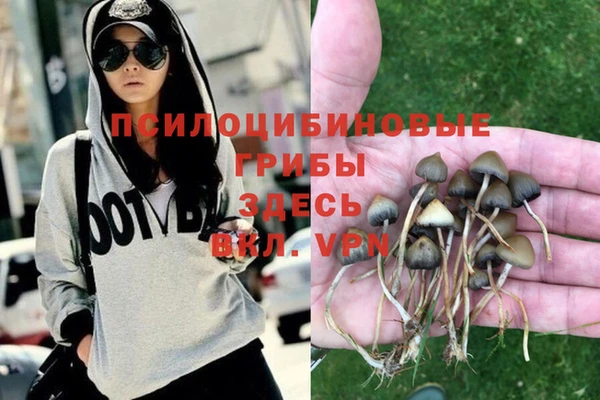 кокаин премиум Богородицк