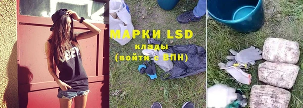ALPHA PVP Беломорск
