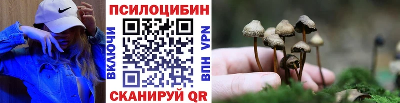 Псилоцибиновые грибы MAGIC MUSHROOMS  где купить наркоту  маркетплейс клад  Югорск 