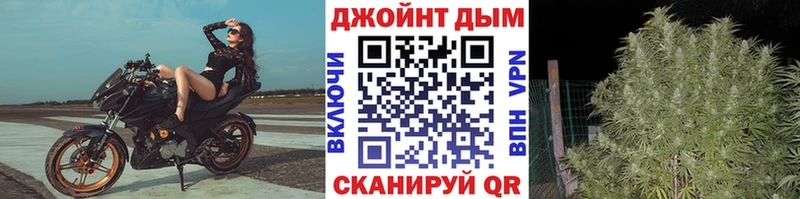 Бошки Шишки планчик Югорск